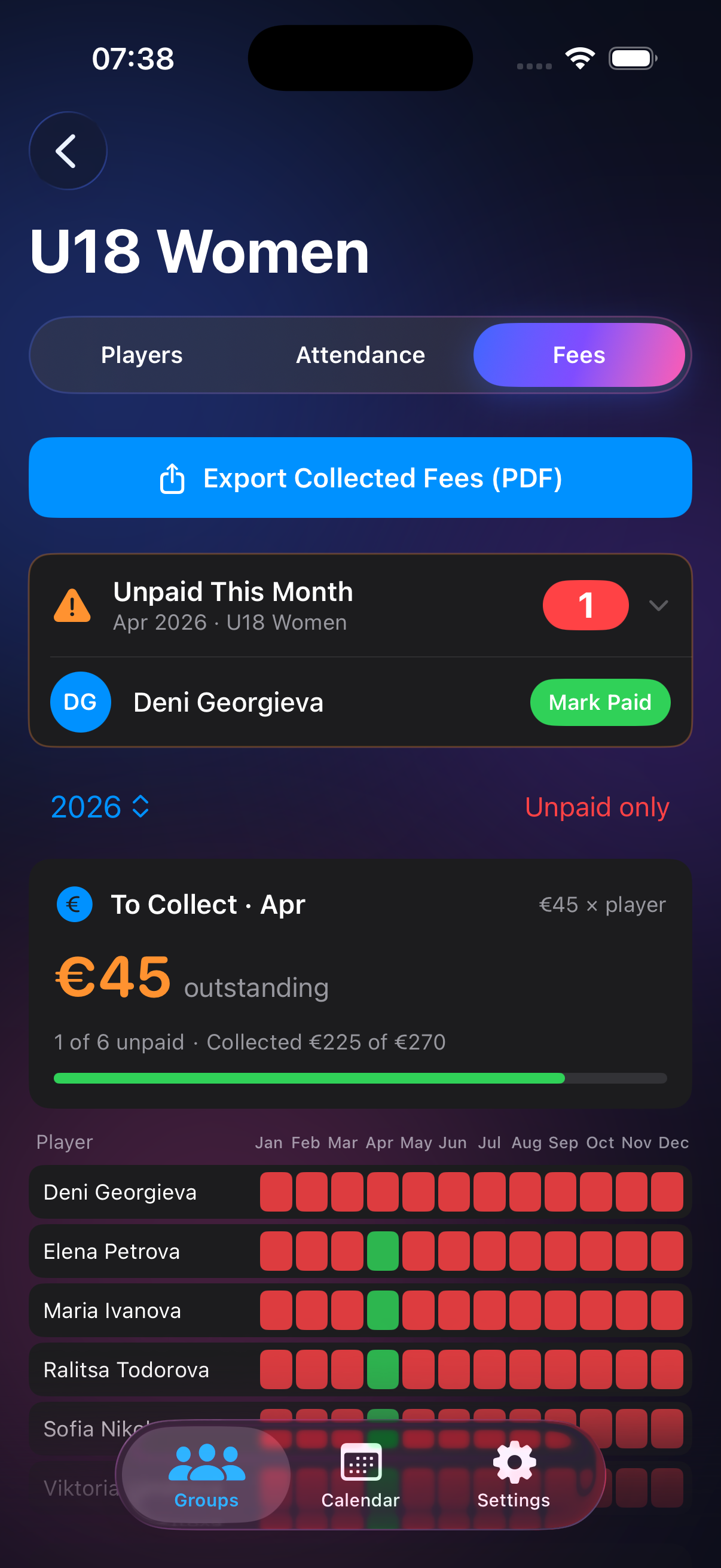 VolleyTracker fees view with PDF export